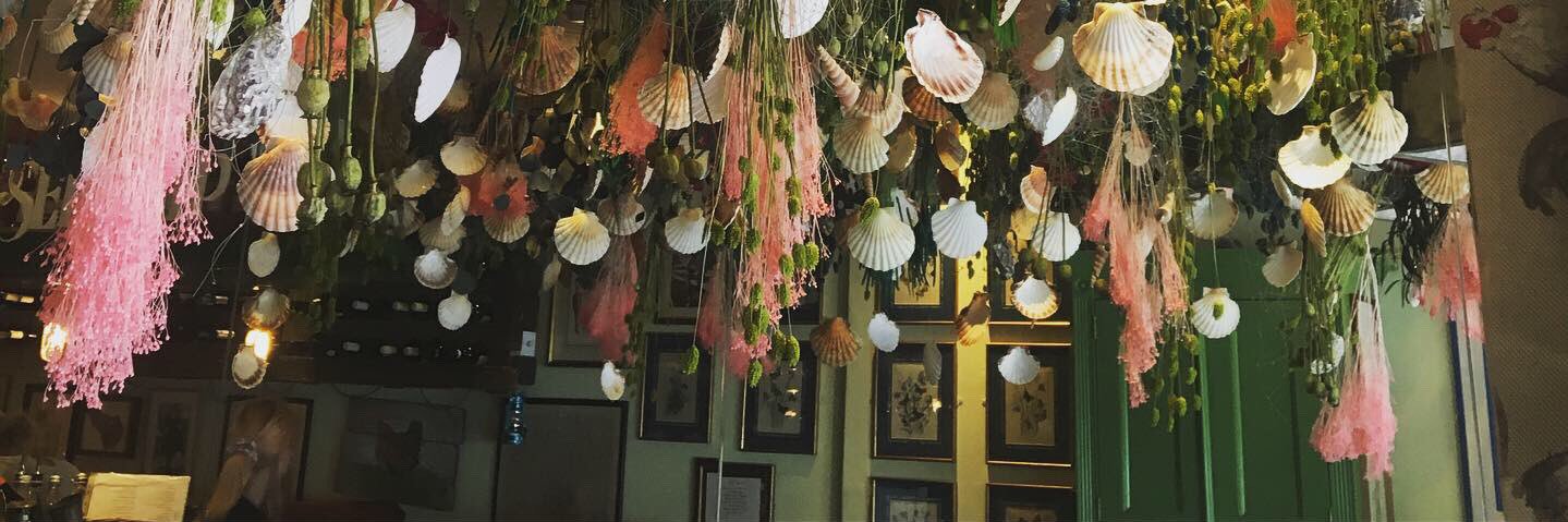 Vero Bianchini 💚 banner