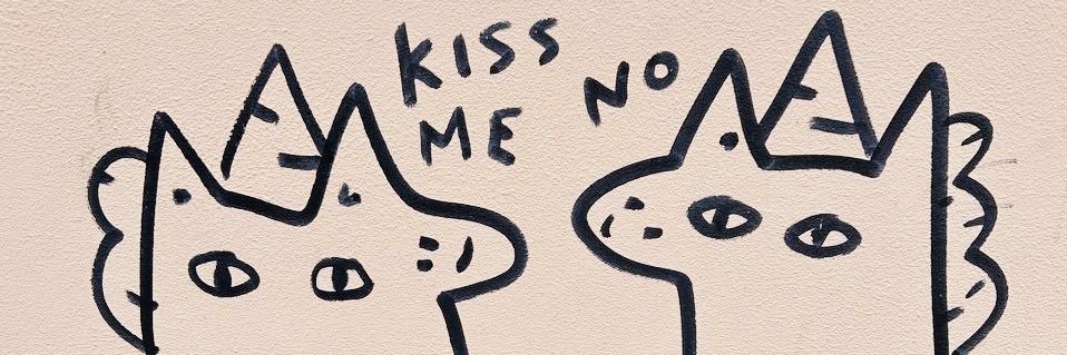 Novy banner