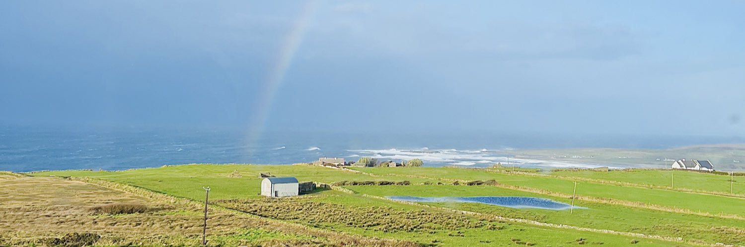 Caroline Wallace banner