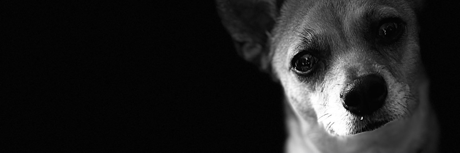 cosset76's profile banner image