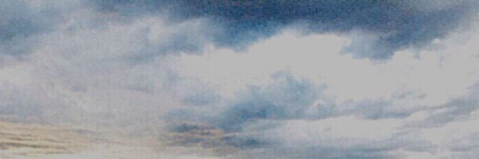 yu_0502's profile banner image