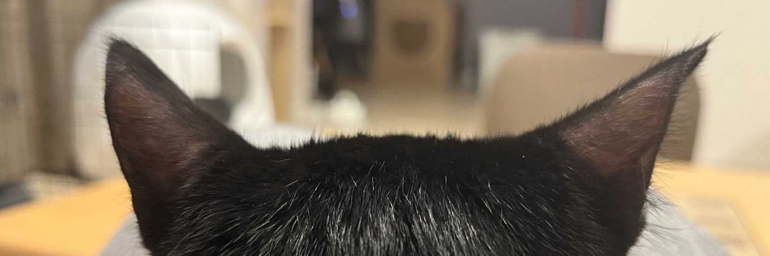 bebechat9's profile banner image