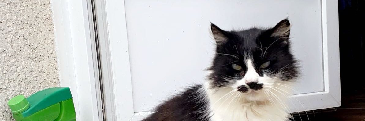 audreyftn29's profile banner image