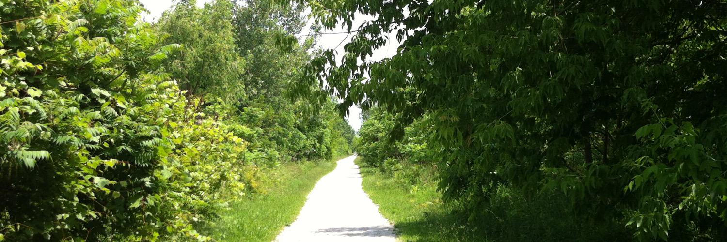 ALS Challenge banner