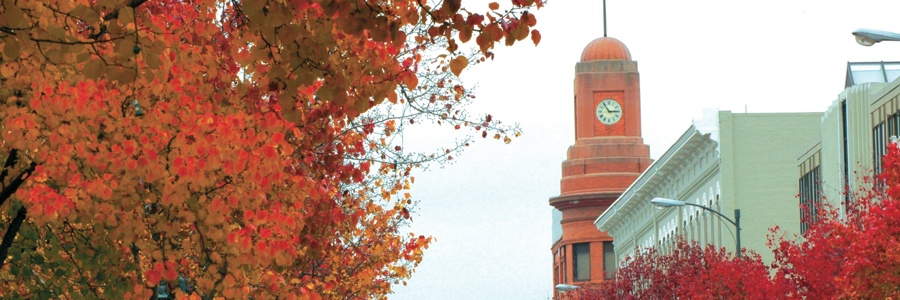 DowntownTC's profile banner image