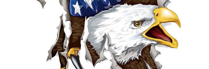 NnightHawk85's profile banner image