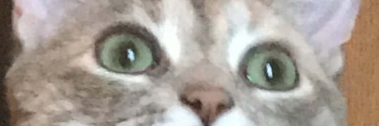 matt001k's profile banner image