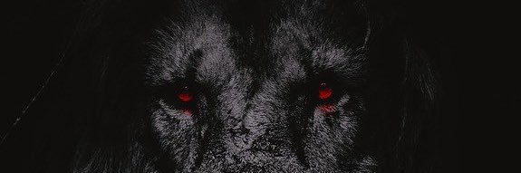 Rvines15's profile banner image
