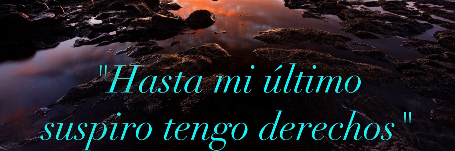 Silvi_7_4's profile banner image