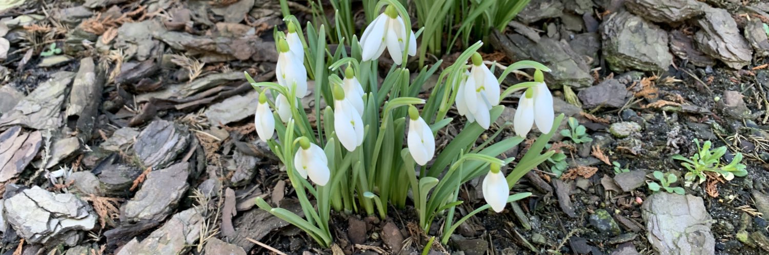 Heniu 🇪🇺🇵🇱 🙊🙉🙈🤍❤️🤍 banner