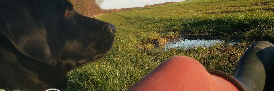 nataliej339's profile banner image