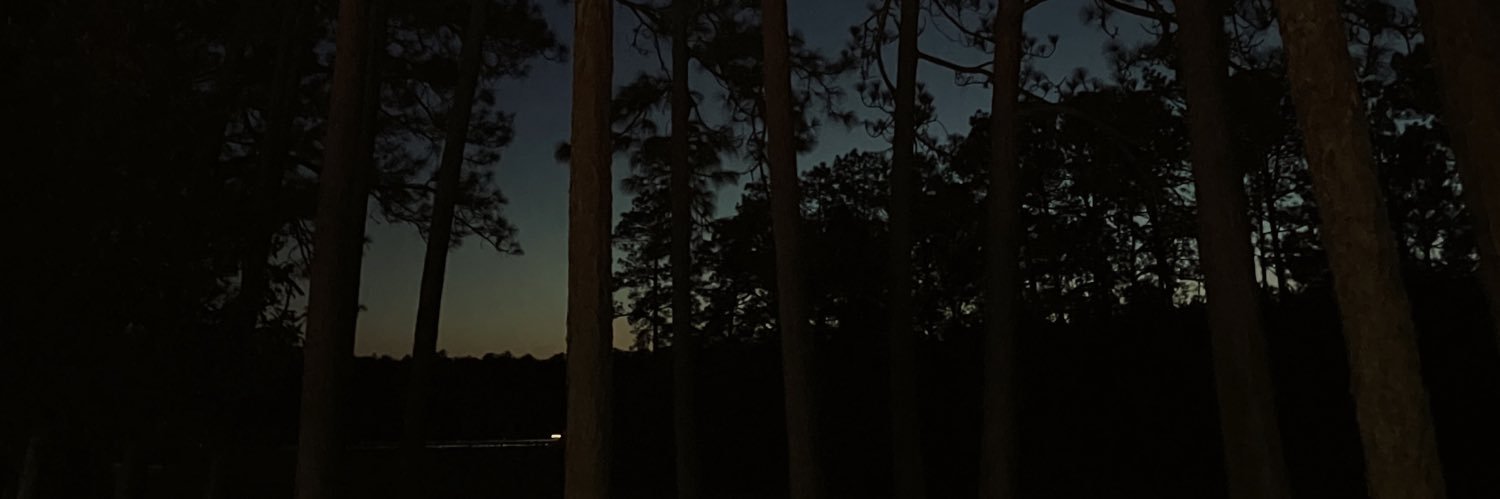joshlbrister's profile banner image