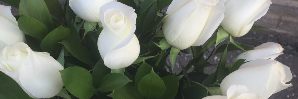 sofya_sofja's profile banner image