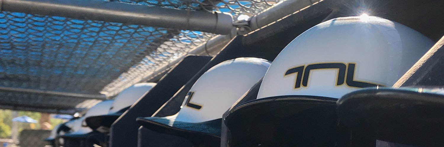 tnlsoftball's profile banner image