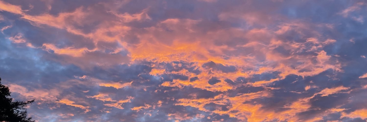 k8oconnell7's profile banner image