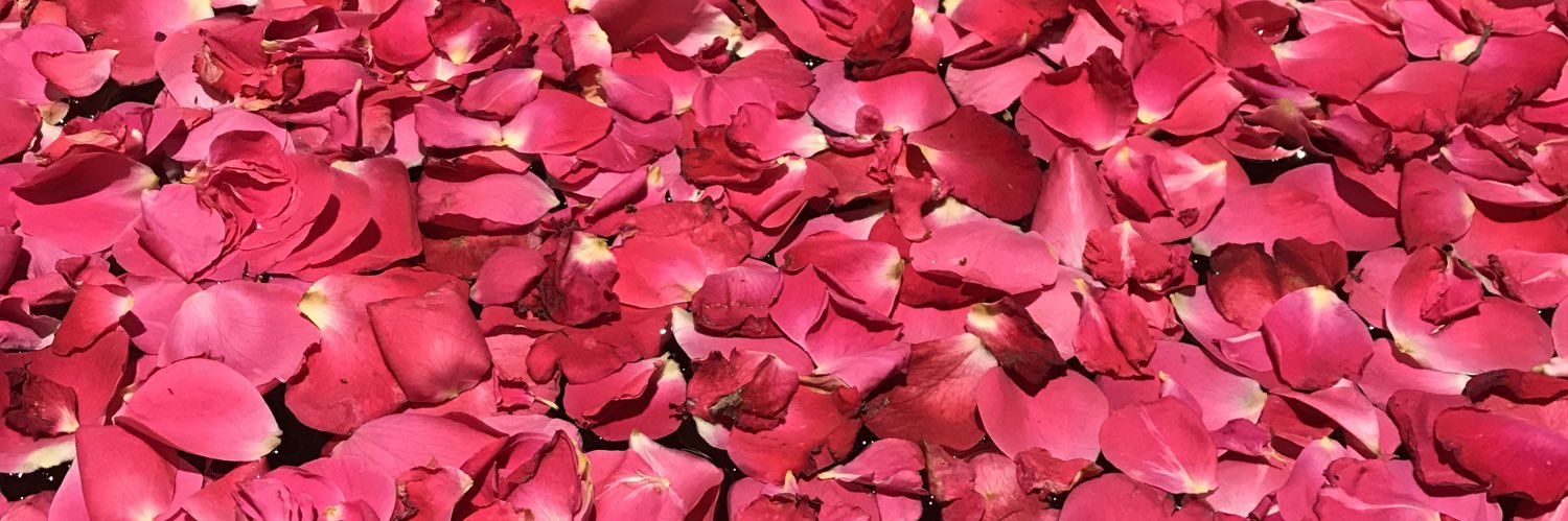 pauluqui's profile banner image