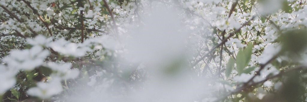 grin_5's profile banner image