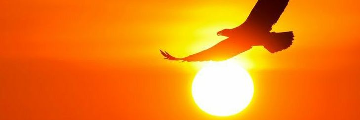 Singhal_ashutos's profile banner image