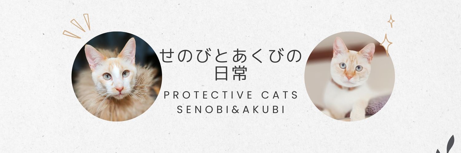 nagi6162's profile banner image