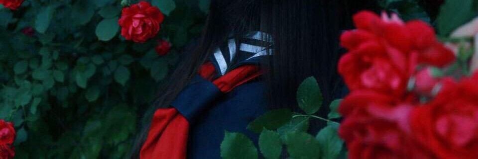 TA3901S's profile banner image