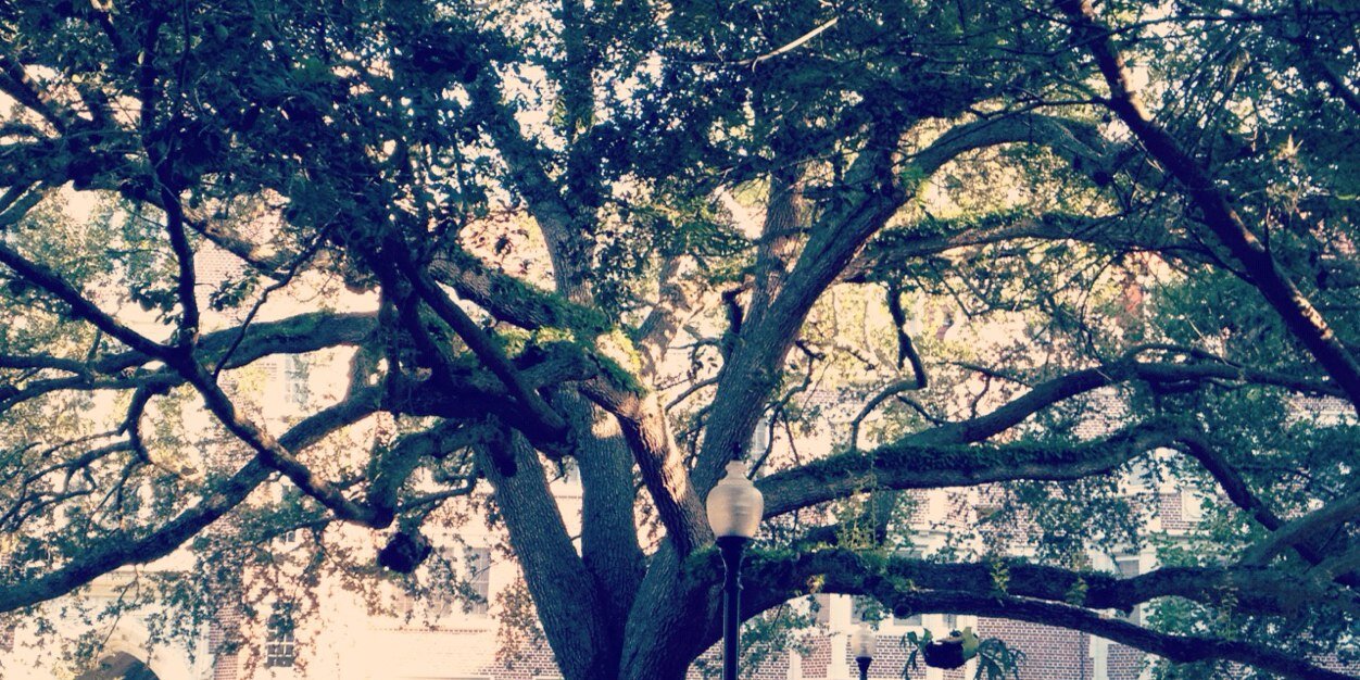 Christina D. Barker banner