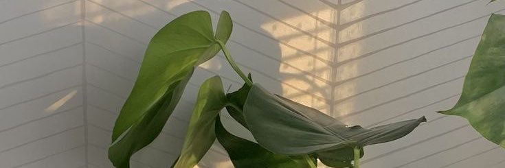 bmarcelaaa's profile banner image