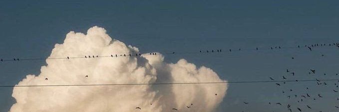serrapines's profile banner image