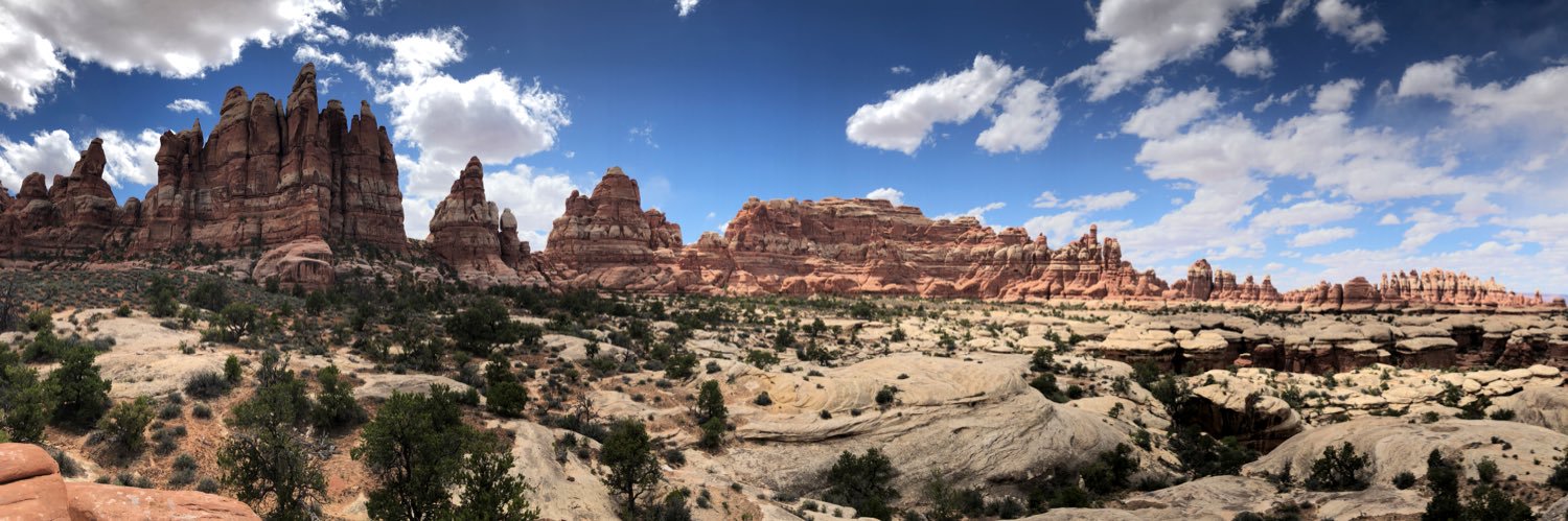 Bryan Landerman banner