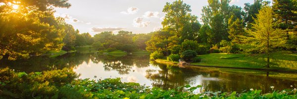 mobotgarden Profile Banner