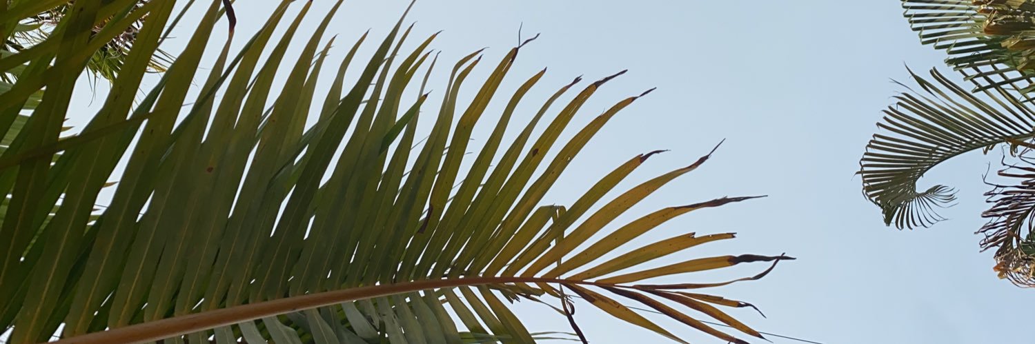 nagol1010's profile banner image
