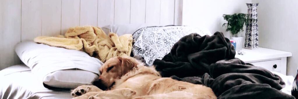 _chloe2k17's profile banner image