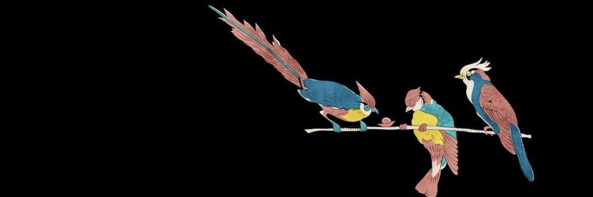 PaolaElsevif's profile banner image