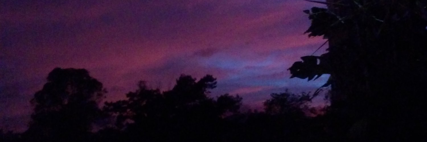 pea_yuh's profile banner image