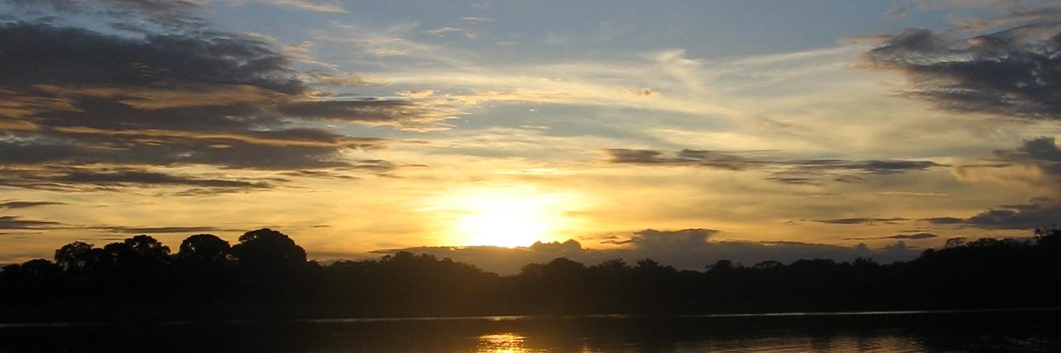 AtallahSonia's profile banner image