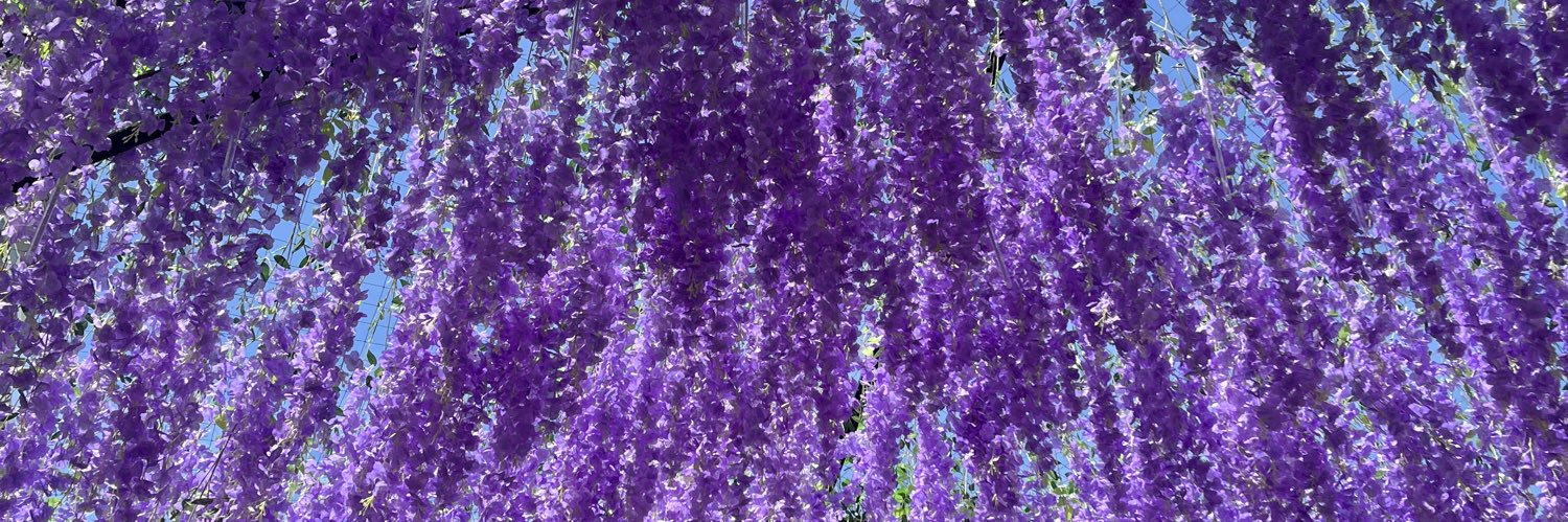 _nykm's profile banner image