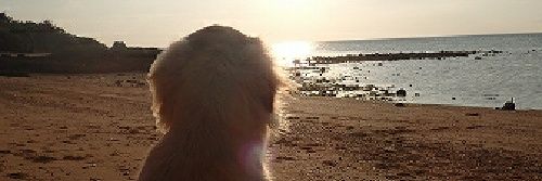curoitu_'s profile banner image