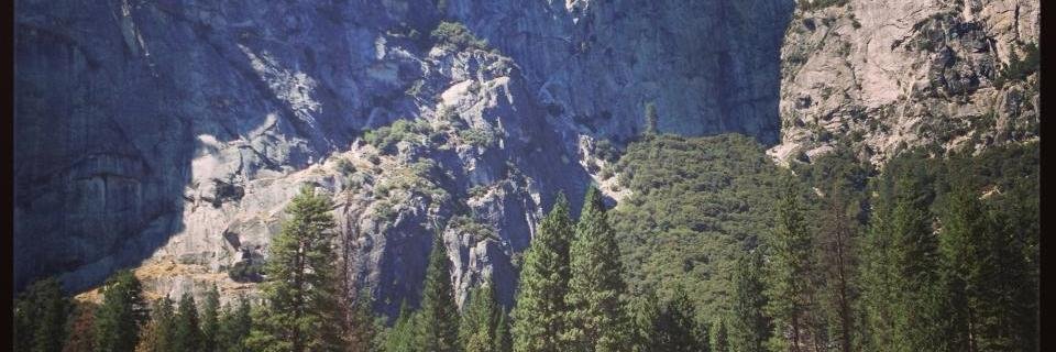 MDwithT1D's profile banner image