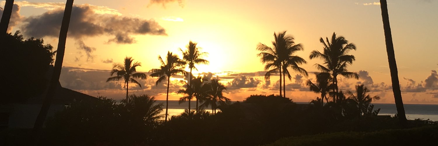 MandyFedyna's profile banner image