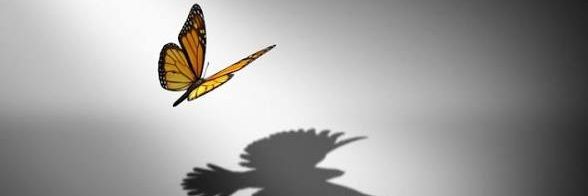 CastrillonAngel's profile banner image