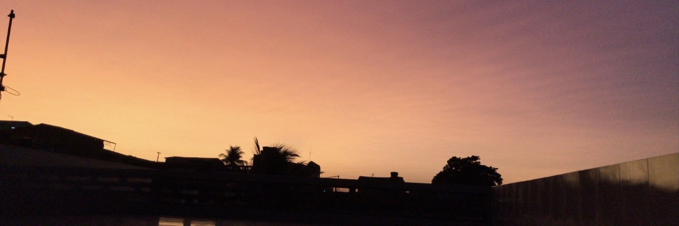 roseolivx's profile banner image