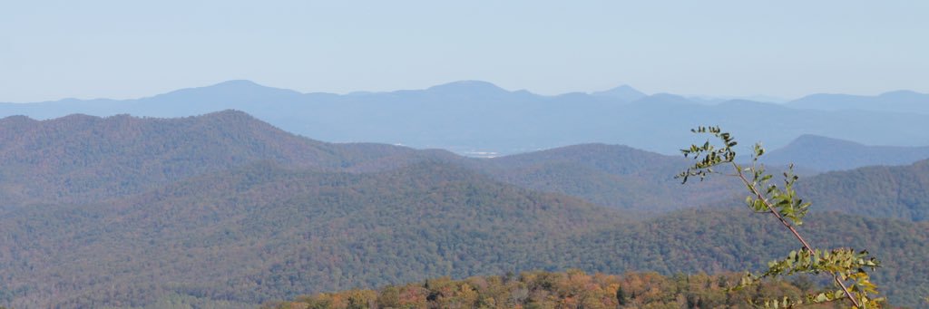 TAskins80's profile banner image