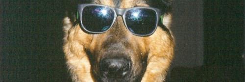 shrodo baggins banner