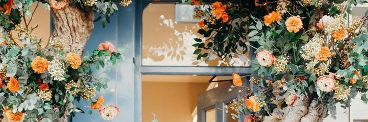 Nora banner
