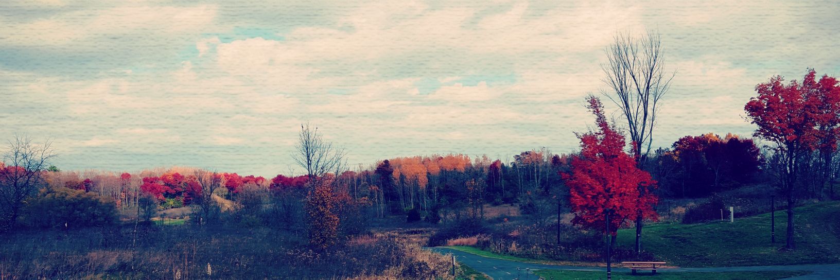 MN_Nature's profile banner image