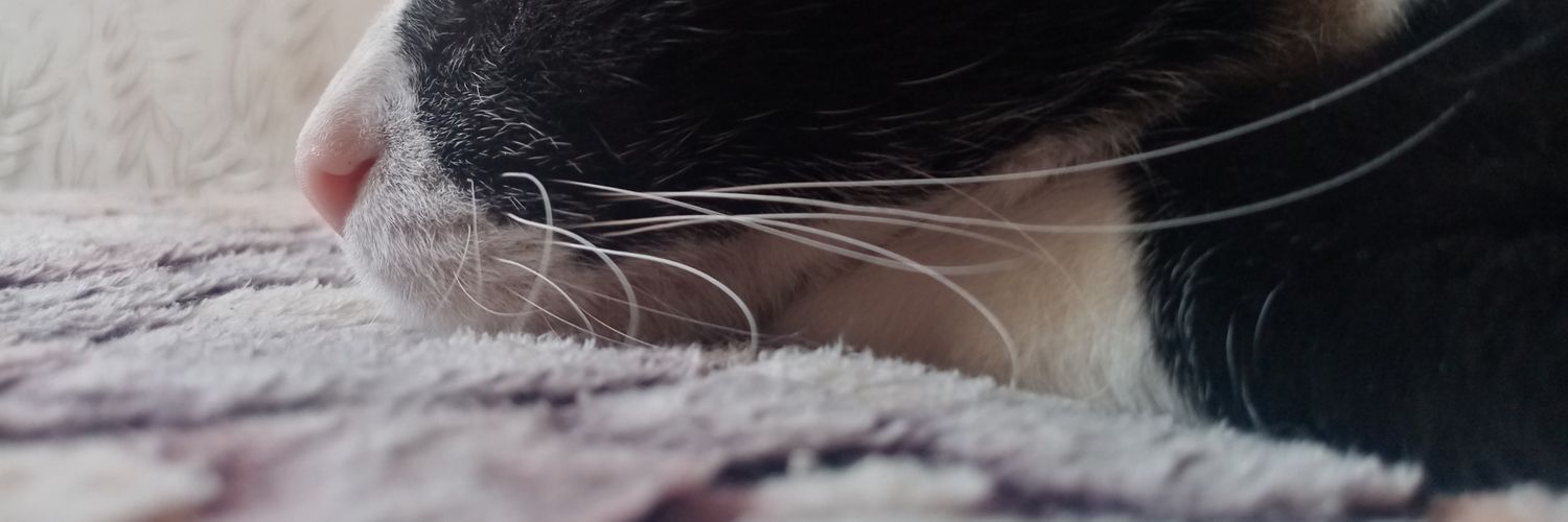 eiprel__'s profile banner image