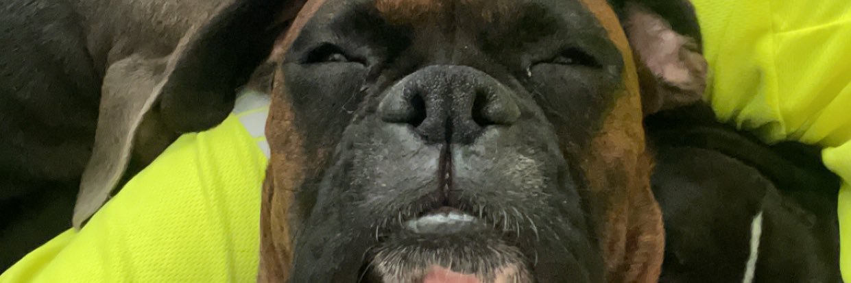 brentheripper's profile banner image