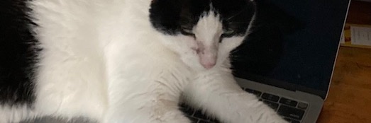 Gabriel Brownstein banner