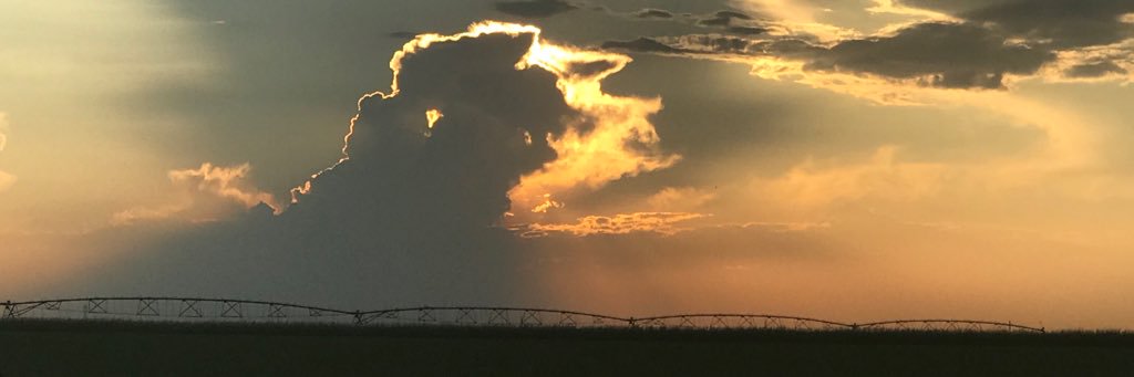 merrymary's profile banner image