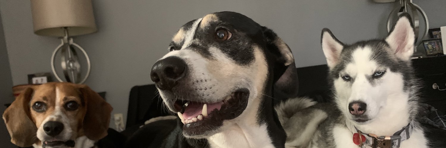 izzy_cahue's profile banner image