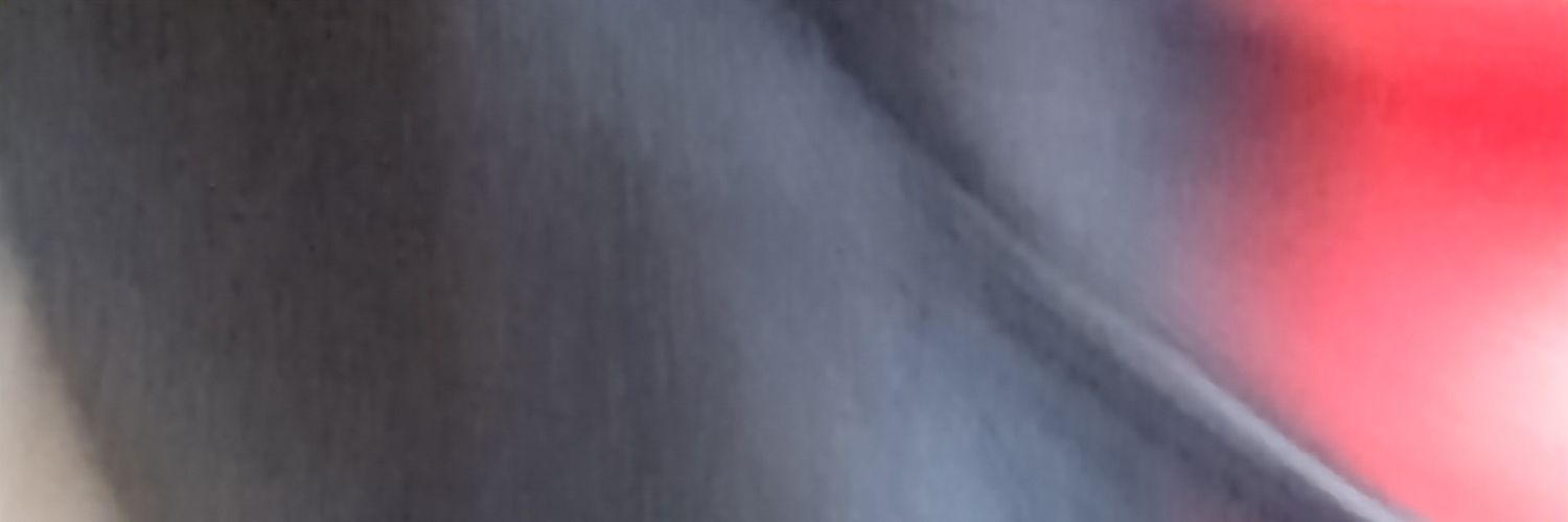LittlejohnLaura's profile banner image
